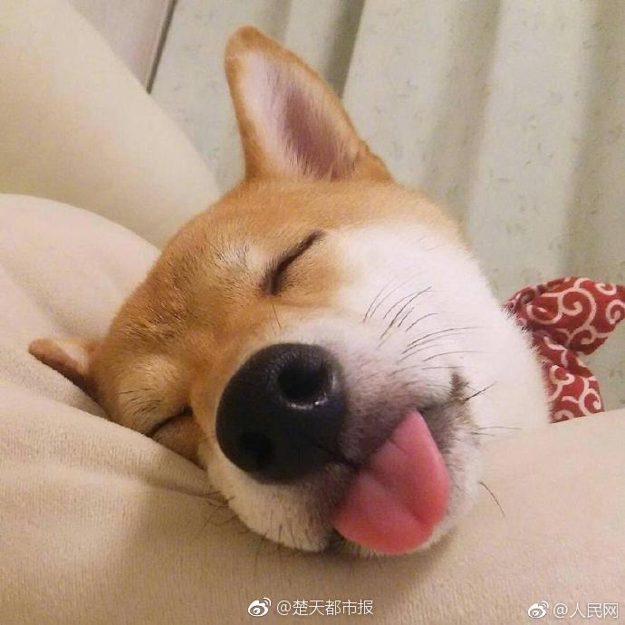 三姐妹同樂小說