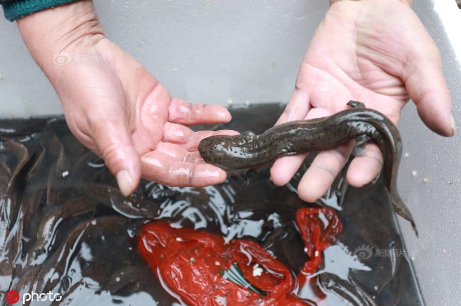 玉麟傳奇全本TXT電子書