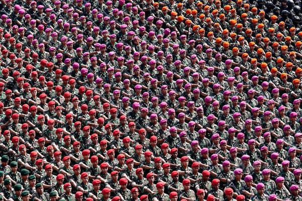 誘捕by匿名小說百度云