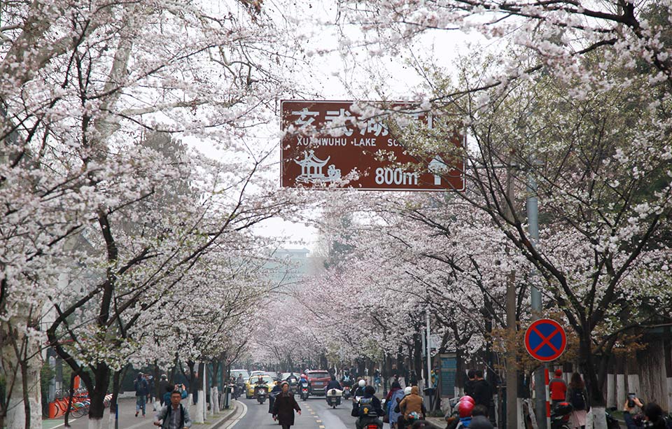 百煉飛升錄筆趣閣小說