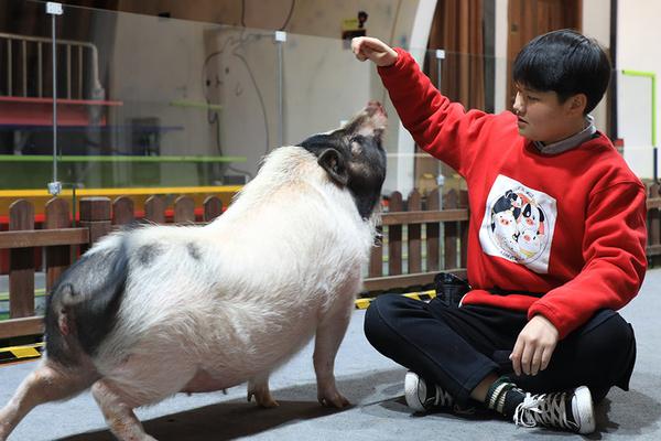 【快穿】 jye收集系統(tǒng)