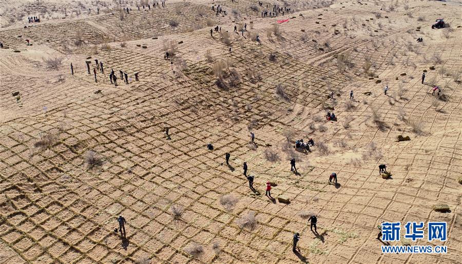 重生之紅色紈绔收母版未刪txt