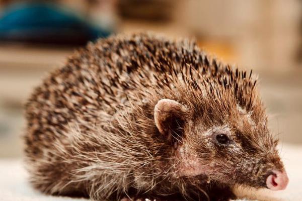 指尖溫度by秦三見