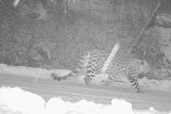 《1—40集》免費觀看