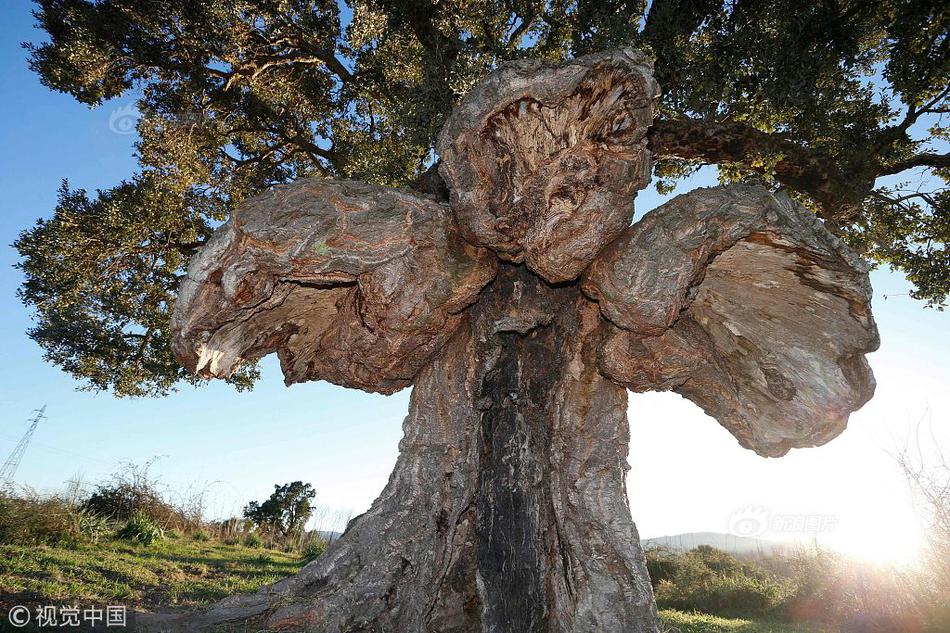 暗度1v1作者皎皎月光筆趣閣