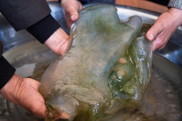 高冷總裁被改造筆趣閣在線閱讀