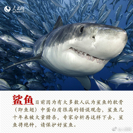 《分手》by冷山就木晉江