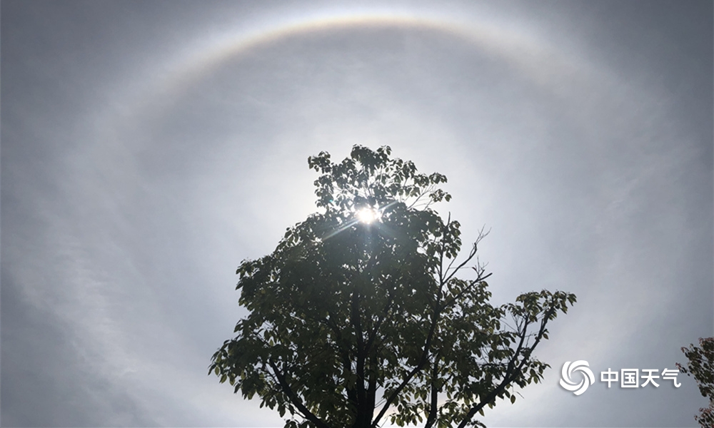 《寵妾》by大包子言綾兒