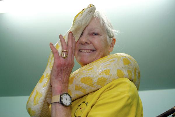 overlord櫻花動漫劇場版