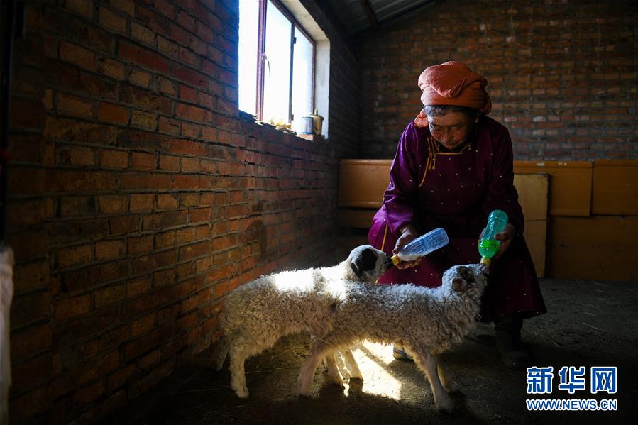 曖昧溫茶筆趣閣小說免費閱讀