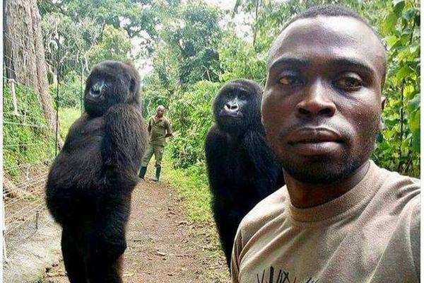 周家系列by南枝