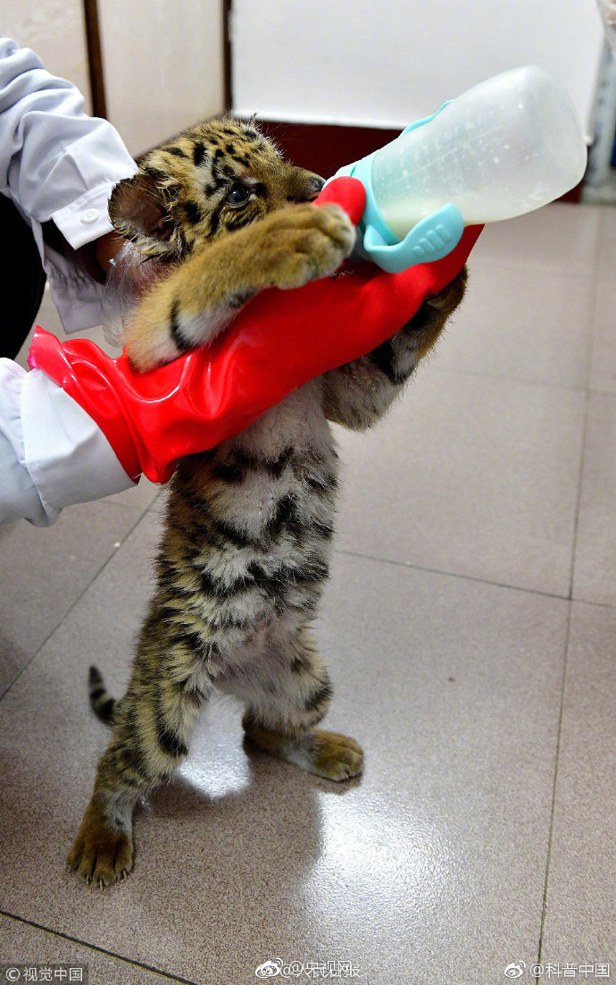 程老師有話說BY 我有虎牙