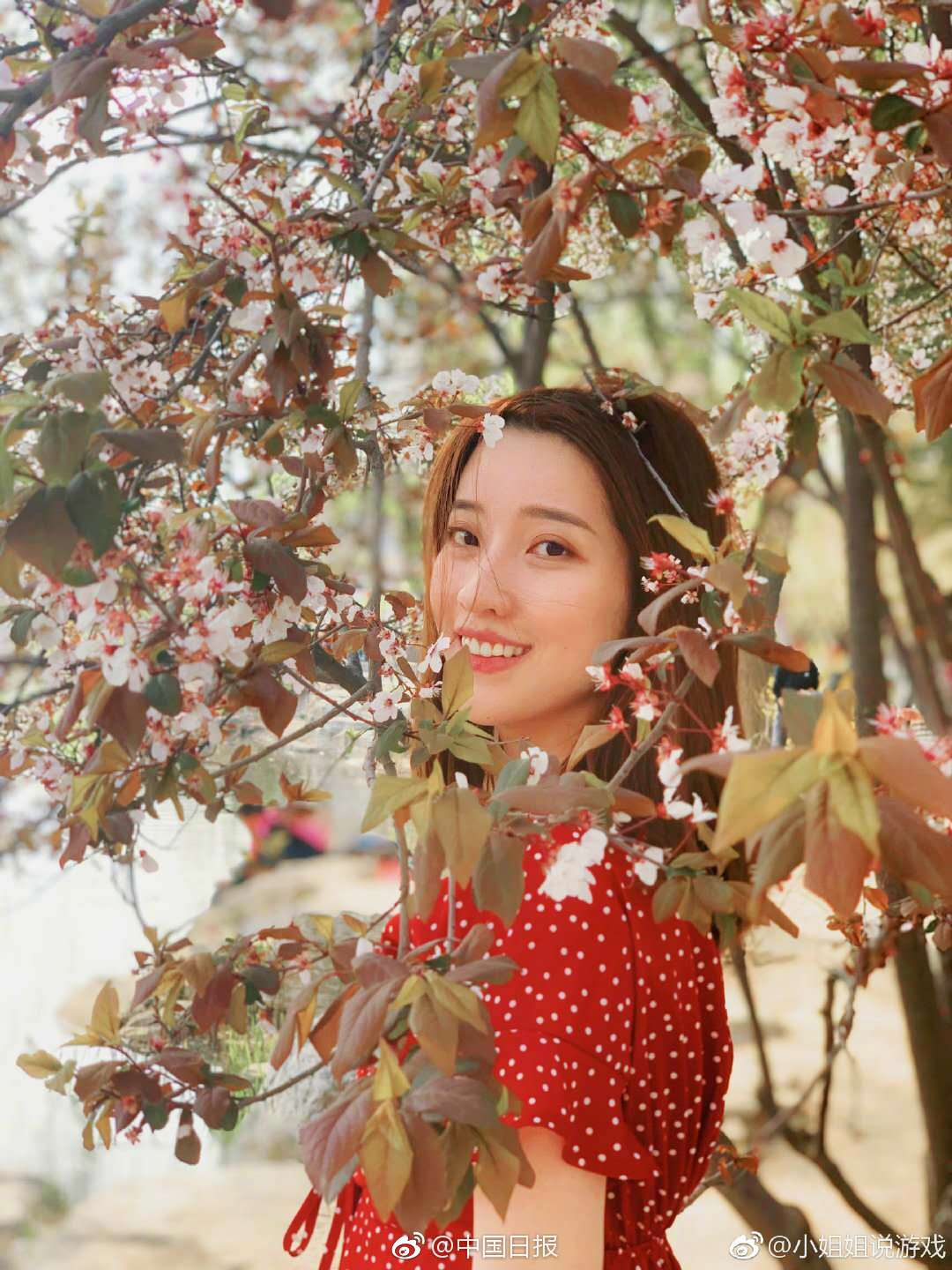 重生之極品皇子妃by葉憶落