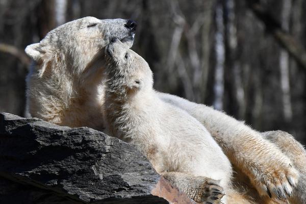 灌溉系統hpc(蜜丸)全文