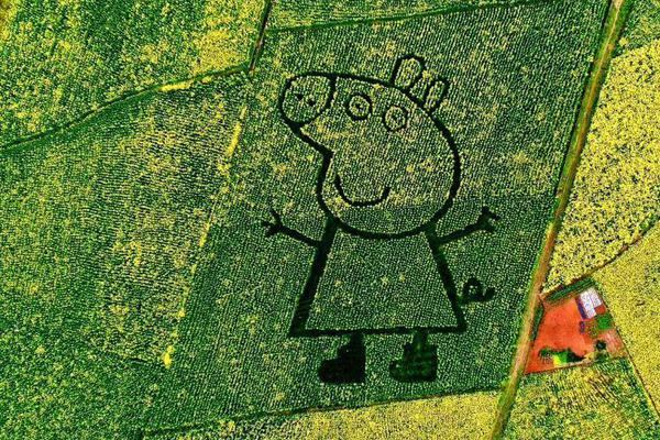 《車站避雨1-2集》動(dòng)畫片視頻