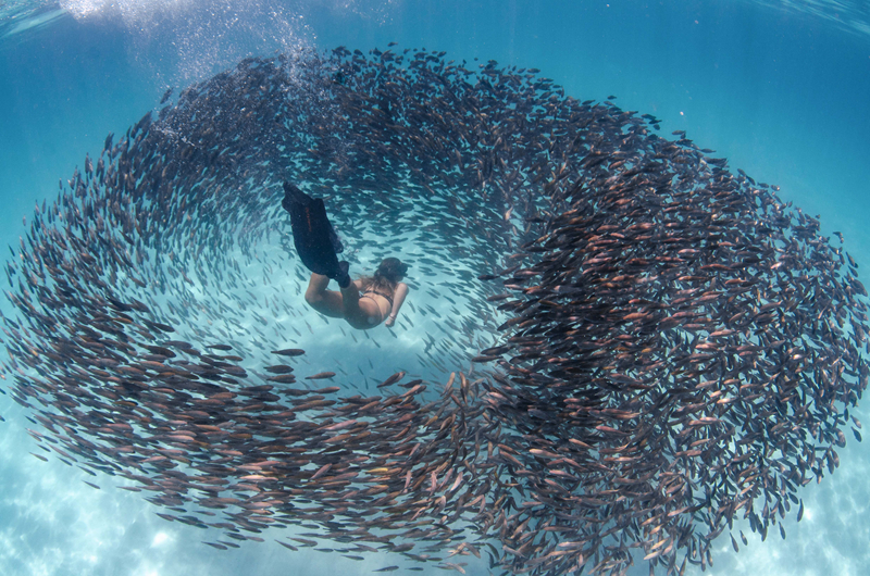 《你是不是演我》by毛毛球
