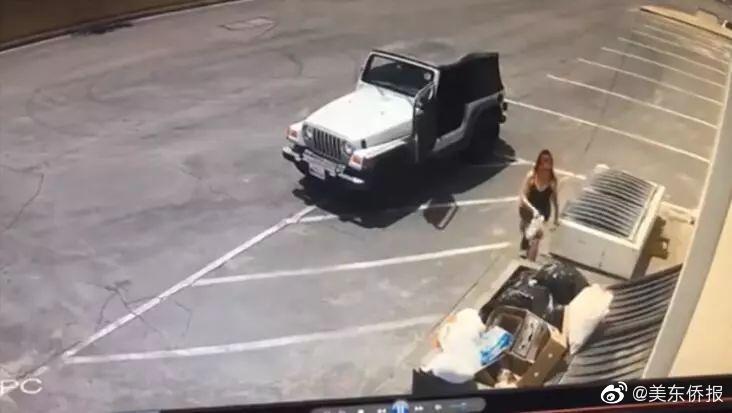 重生之全能大明星