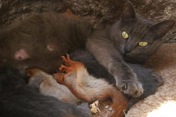 避風港by豌豆莢全文免費閱讀筆趣閣無彈窗