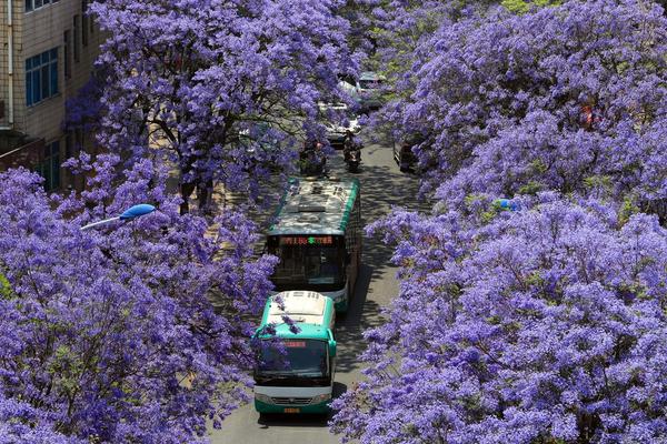 重回換嫁當天,舒芷煙