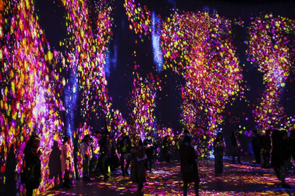 by黑暗森林寫的小說下載