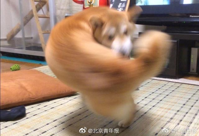 張若塵池瑤免費閱讀筆趣閣