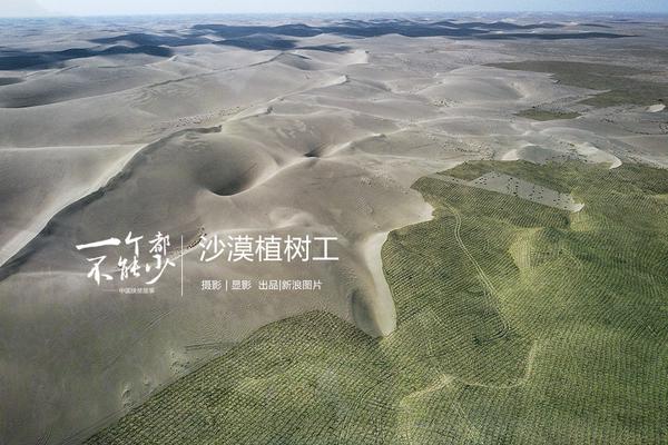 關于爛泥巴的一切by西南北東結局