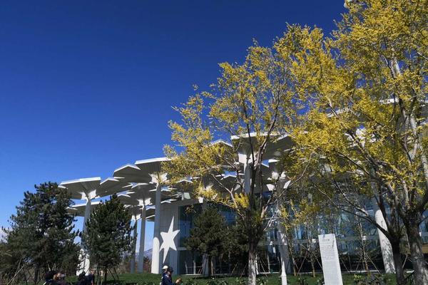 總裁養的小狼狗免費閱讀