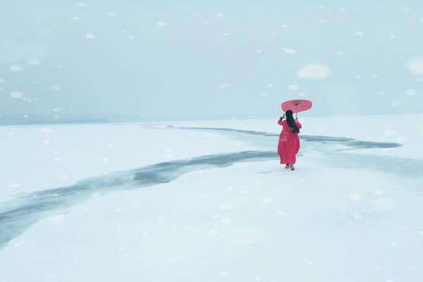 《倒刺》by挽月是什么小說