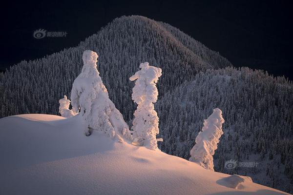 hp完美世界的不完美戀人