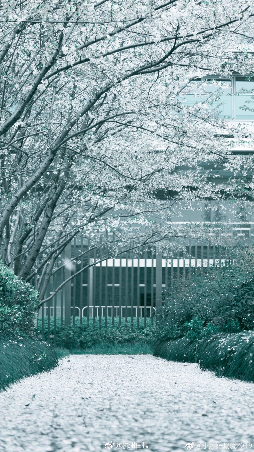 多男主1v3軍婚顧思佳段竹