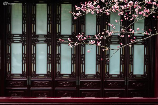 春逃by晚來風(fēng)息