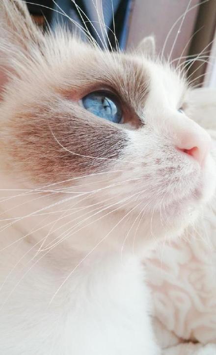 燉肉罐頭by卷卷耳筆趣閣最新章節(jié)列表