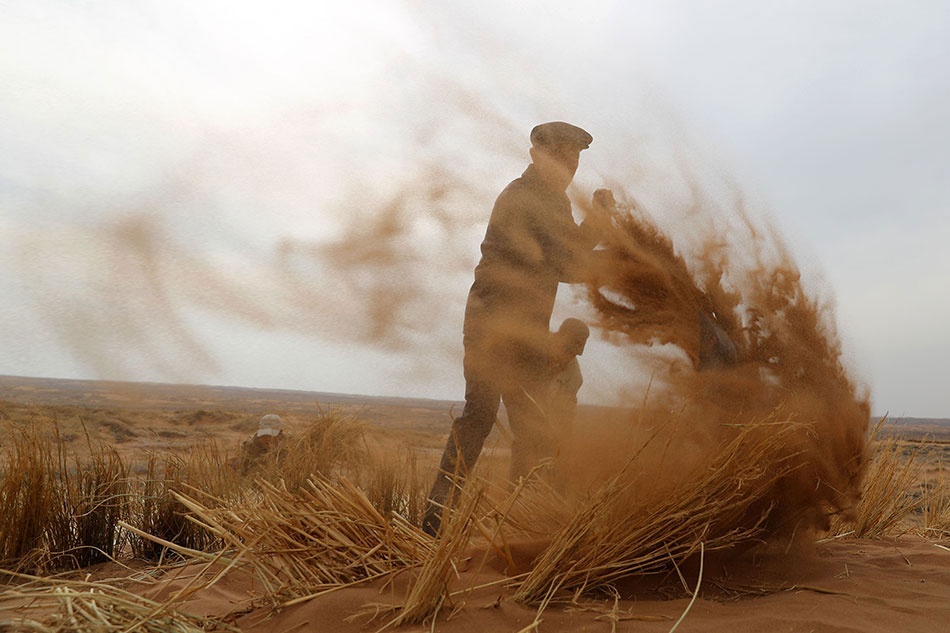 瘋狂動(dòng)物城2(普通話)動(dòng)畫(huà)片高清