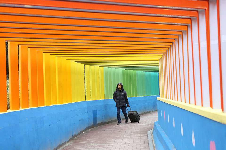 1女vn男的現言穿書