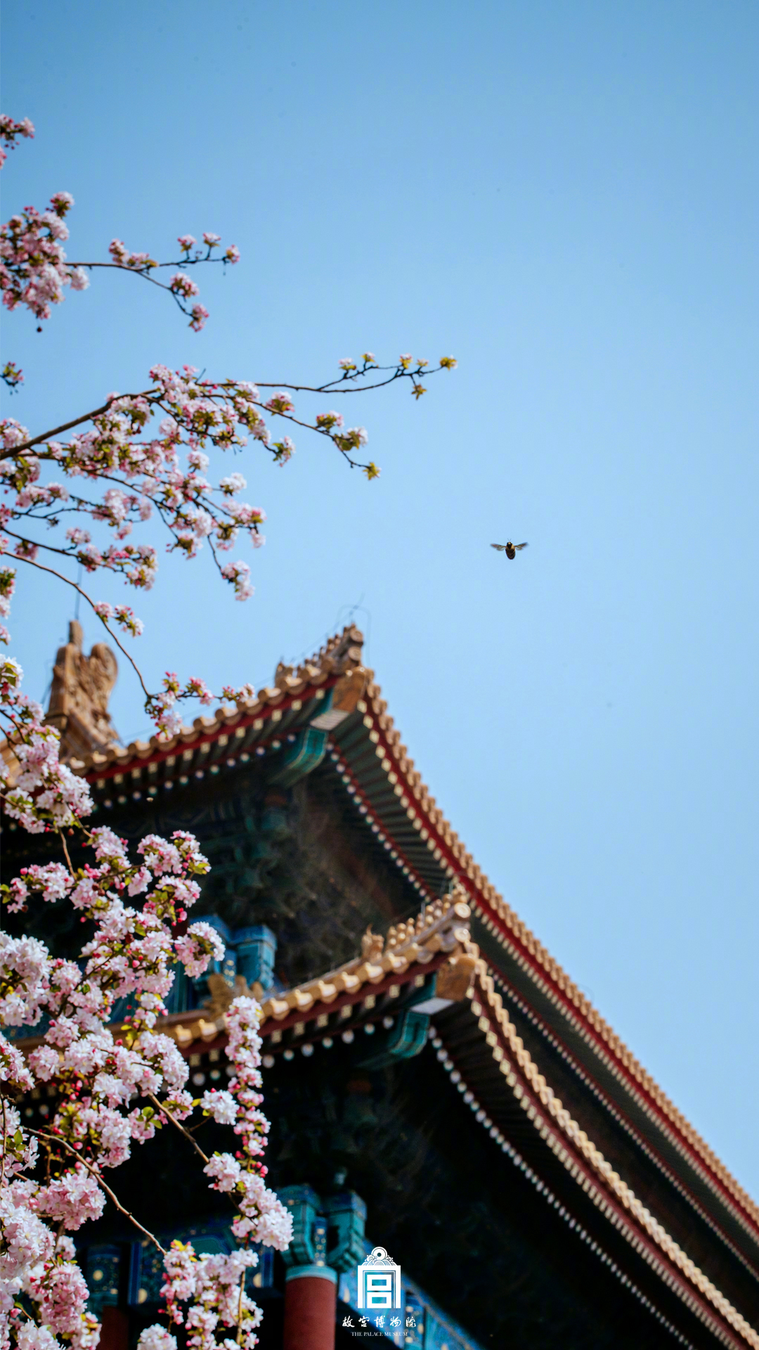 《舒心》作者:馨馨兒耶 1V1