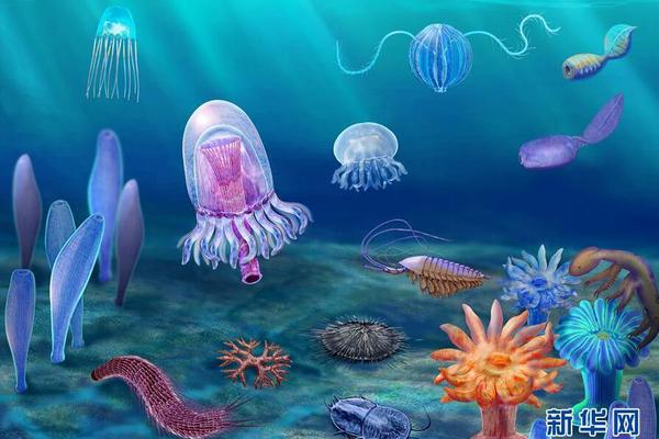 獨闖修行道TXT下載