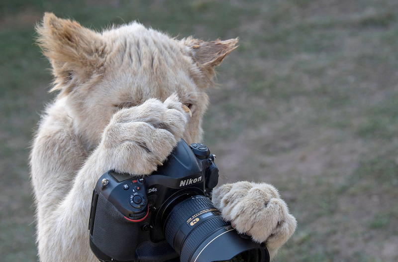 《飼鬼》by木蘇里主角身份