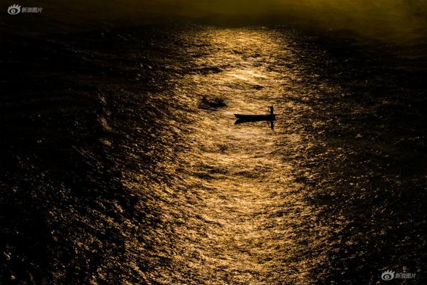 HP我在霍格沃茨當團寵