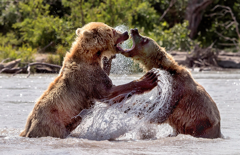 斗羅之燁火TXT下載