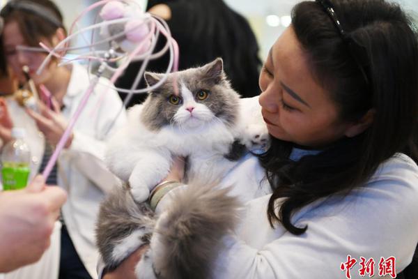 暗河父子by山有君改名成什么了