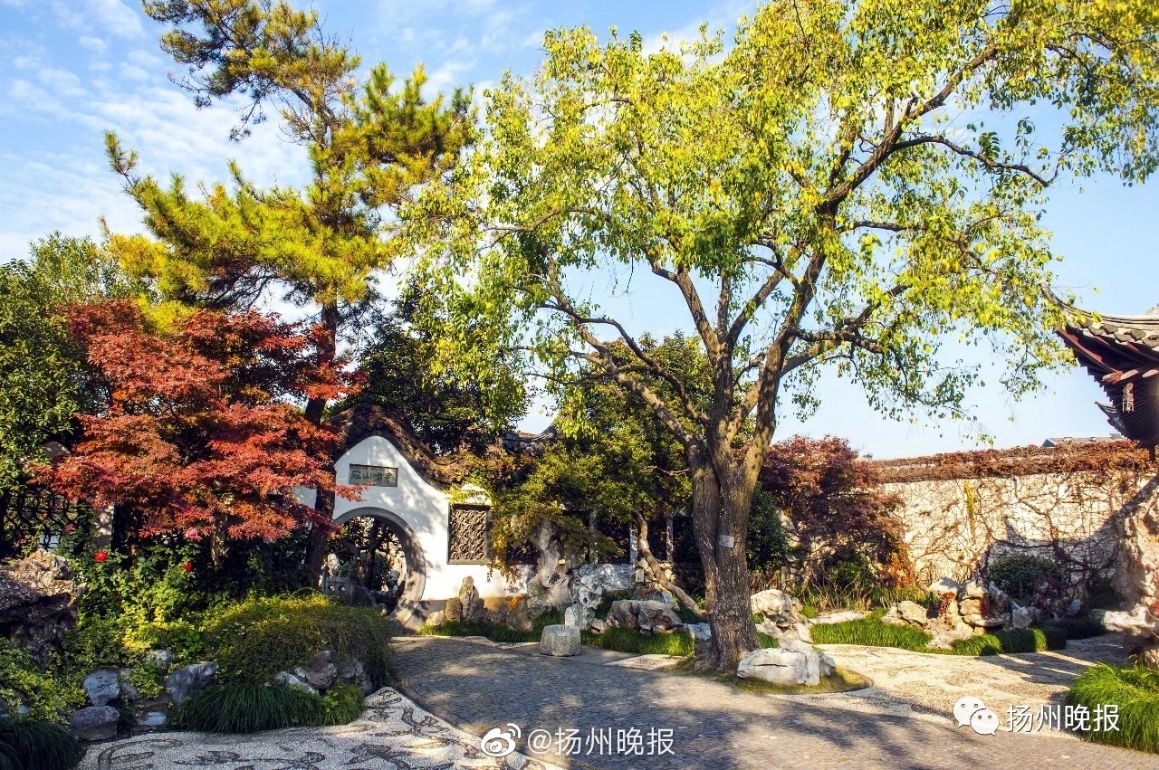 1v1女主撩男主古言