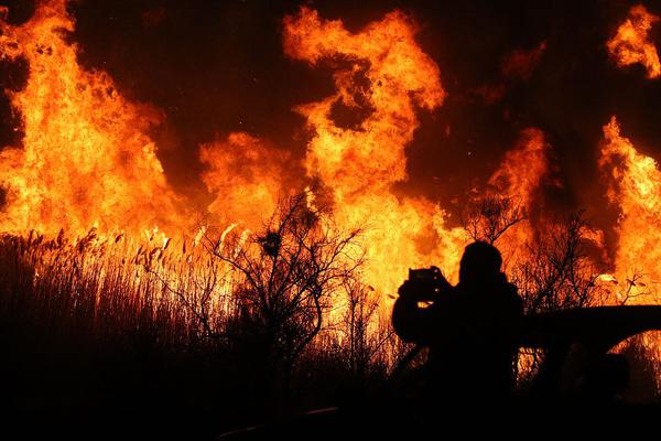 變身之女神養成計劃TXT下載