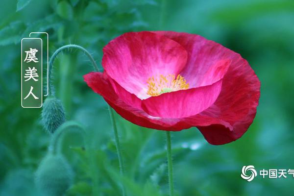 電子書白潔TXT免費下載