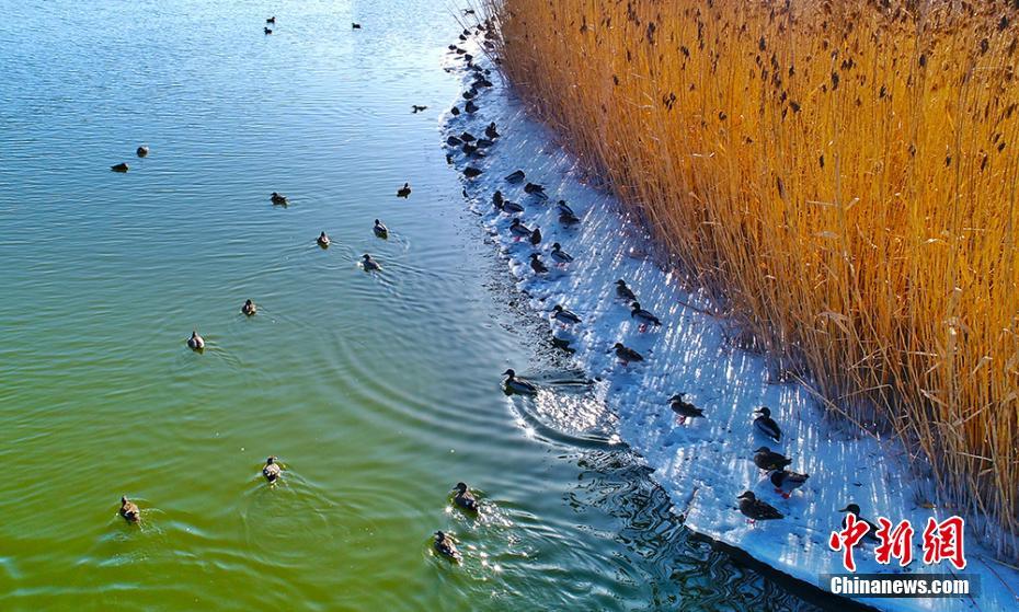 在雨中潮濕的雨中母親的悄悄話