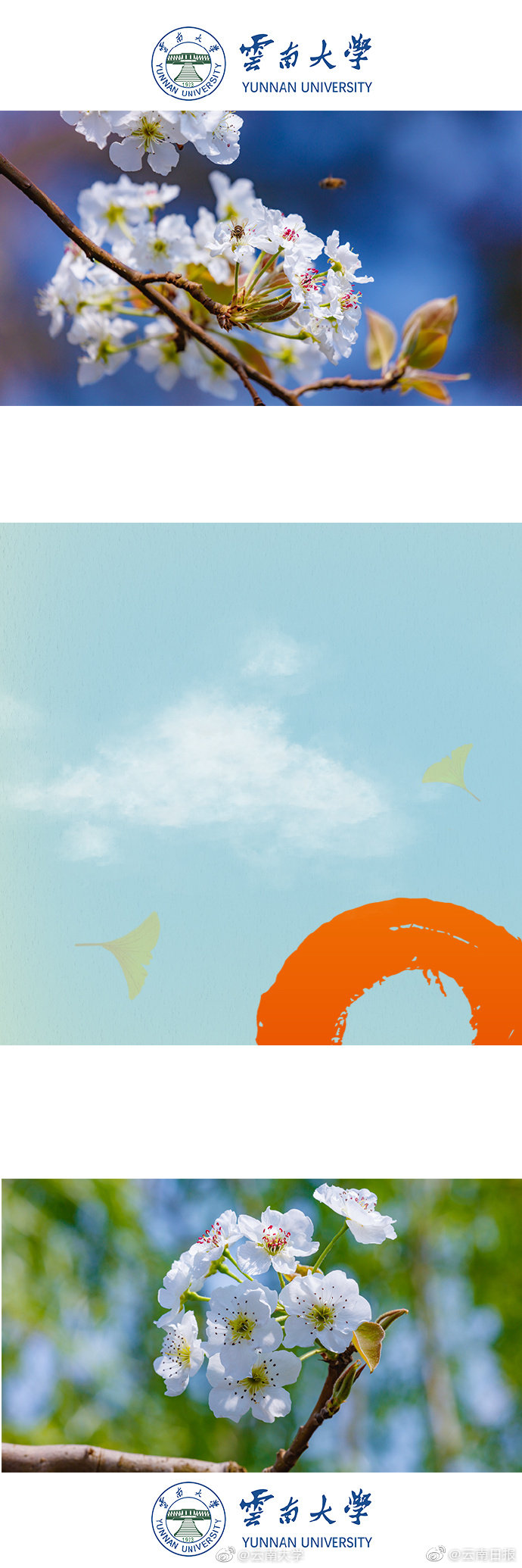 瘋狂地獄輪螽2改造