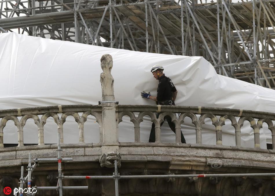 《雙向感應》by和梔子的區別