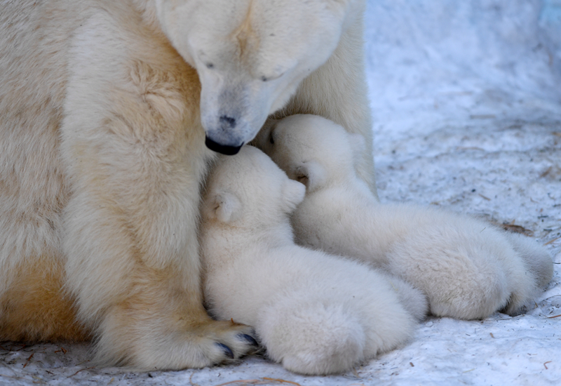 墜落po海水江崖免費閱讀