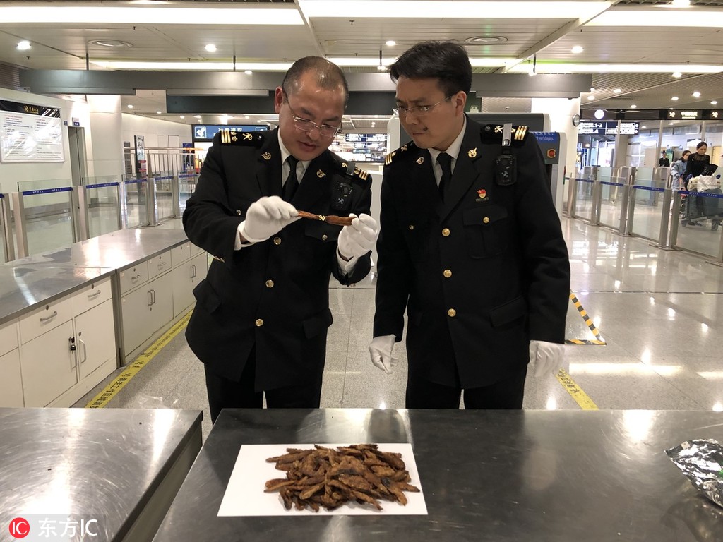 朱門繡戶以唇喂水筆趣閣明珠