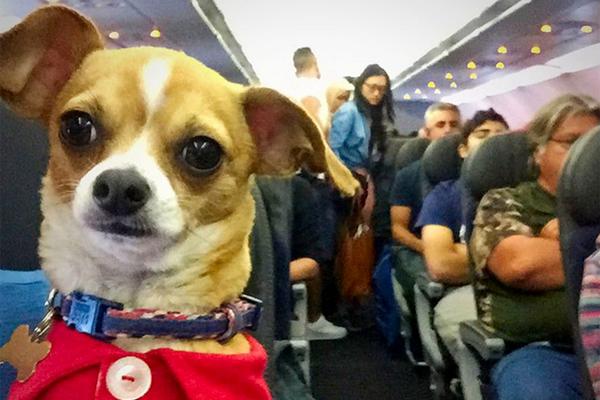 18緊致世界筆趣閣在線閱讀