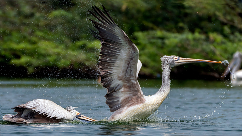 代替品by于珣爾全文